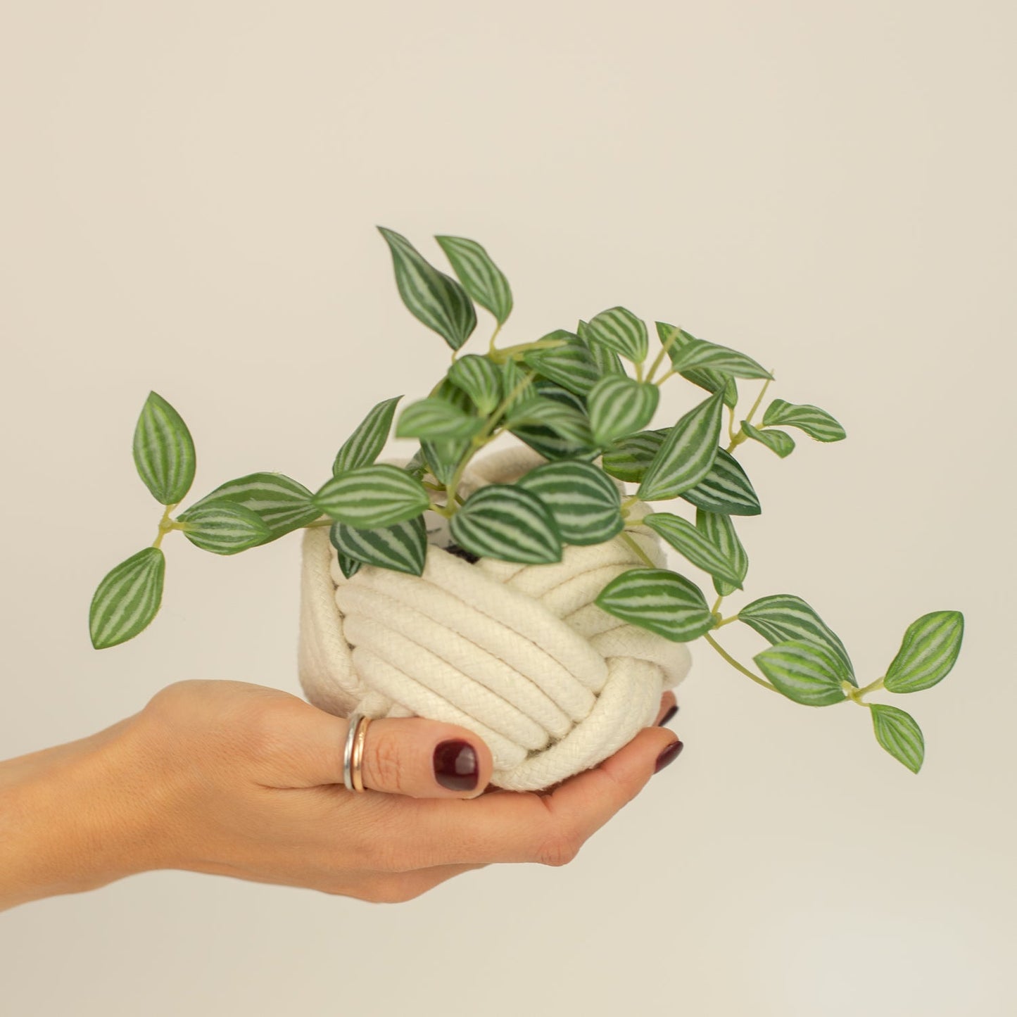 Mini Unbound Planter - White
